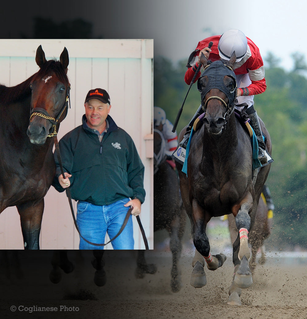 Home | Grade 1 Products - Premium Quality Horse Racing